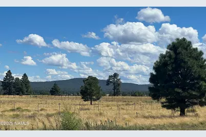 665 S Dust Devil Drive, Parks, AZ 86018 - Photo 43