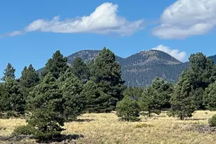 665 S Dust Devil Dr, Parks, AZ 86018 - Photo 33