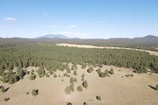 665 S Dust Devil Dr, Parks, AZ 86018 - Photo 41