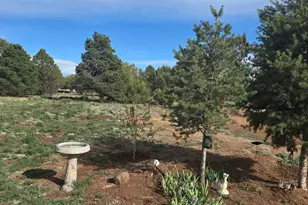 1392 E Cienega Dr, Williams, AZ 86046 - Photo 13