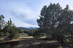 1392 E Cienega Dr, Williams, AZ 86046 - Photo 13