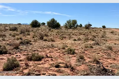 339 S San Luis Drive, Williams, AZ 86046 - Photo 5