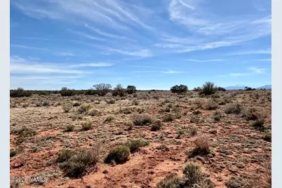 339 S San Luis Drive, Williams, AZ 86046 - Photo 3