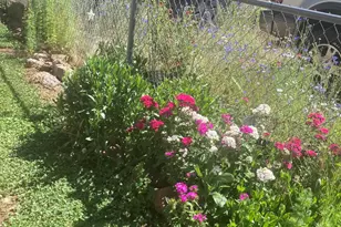230 E Cedar Wood Dr, Munds Park, AZ 86017 - Photo 27
