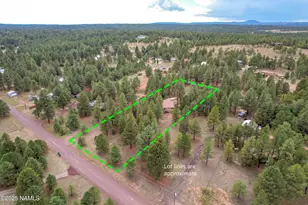 211 S Beech Dr, Flagstaff, AZ 86004 - Photo 43