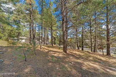 3407 S Litzler Drive, Flagstaff, AZ 86005 - Photo 9