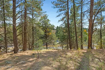 3407 S Litzler Drive, Flagstaff, AZ 86005 - Photo 7