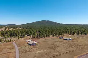 3095 E Pinetree Dr, Williams, AZ 86046 - Photo 57