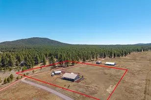 3095 E Pinetree Dr, Williams, AZ 86046 - Photo 3