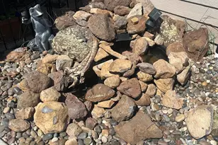 3095 E Pinetree Dr, Williams, AZ 86046 - Photo 45