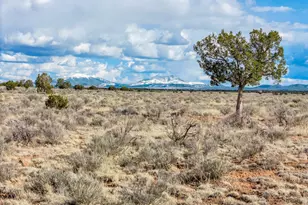 1462 Red Butte Rd, Williams, AZ 86046 - Photo 1