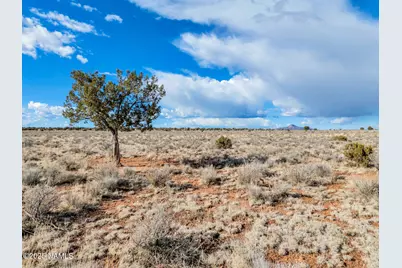 1462 Red Butte Road, Williams, AZ 86046 - Photo 9