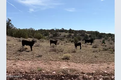 9457 W Bright Sky Trail, Williams, AZ 86046 - Photo 3