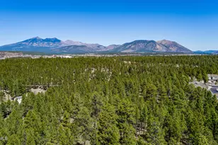 3212 S Hannah Ln, Flagstaff, AZ 86005 - Photo 43