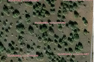 4529 W Eagle Wings Dr, Williams, AZ 86046 - Photo 1