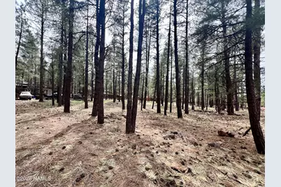 7350 E Jolly Rogue Lane, Williams, AZ 86046 - Photo 5