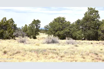 4948 E Larkspur Road, Williams, AZ 86046 - Photo 11