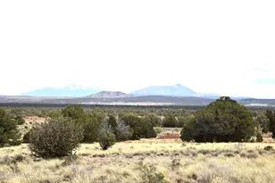 4948 E Larkspur Rd, Williams, AZ 86046 - Photo 1