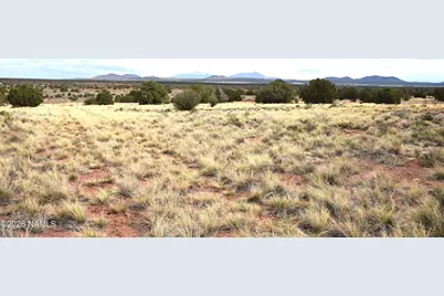 4948 E Larkspur Road, Williams, AZ 86046 - Photo 13
