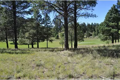 2900 S Solitaires Canyon Drive, Flagstaff, AZ 86005 - Photo 7