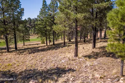 2900 S Solitaires Canyon Drive, Flagstaff, AZ 86005 - Photo 1