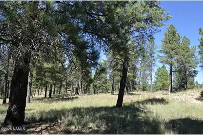 2900 S Solitaires Canyon Drive, Flagstaff, AZ 86005 - Photo 11