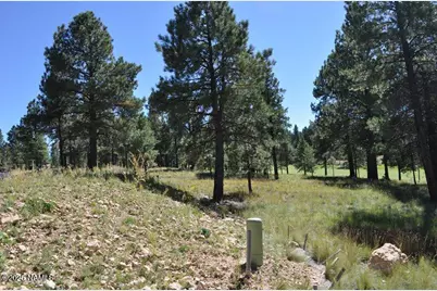 2900 S Solitaires Canyon Drive, Flagstaff, AZ 86005 - Photo 5