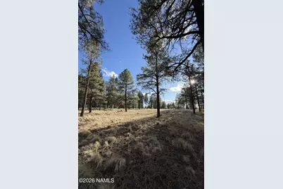 4870 E Gandalf Lane, Flagstaff, AZ 86004 - Photo 3