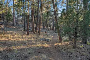 1005 W Park Way, Williams, AZ 86046 - Photo 39