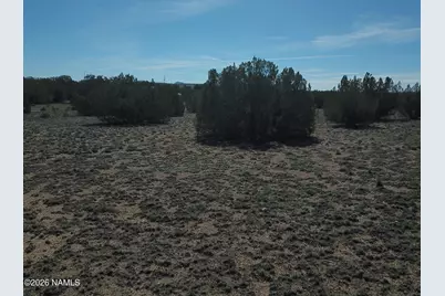 25935 W Fort Rock Road, Seligman, AZ 86337 - Photo 7