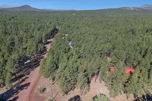 13167 E Fallow Deer Rd, Parks, AZ 86018 - Photo 29