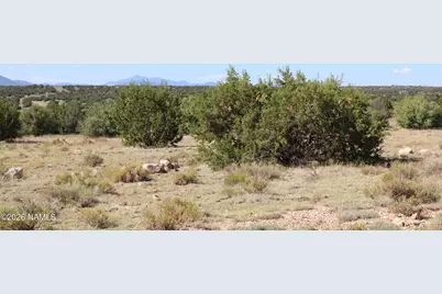 9380 W Latigo Road, Williams, AZ 86046 - Photo 5
