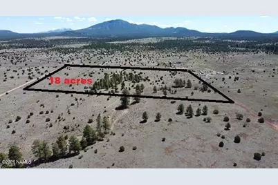 5308 Red Mountain Road, Williams, AZ 86046 - Photo 3