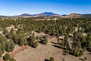 4540 Forest Ranches Loop, Parks, AZ 86018 - Photo 59