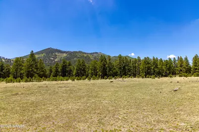 00 Crowley Trail, Flagstaff, AZ 86001 - Photo 9