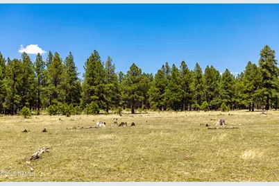 00 Crowley Trail, Flagstaff, AZ 86001 - Photo 29