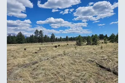 00 Crowley Trail, Flagstaff, AZ 86001 - Photo 13