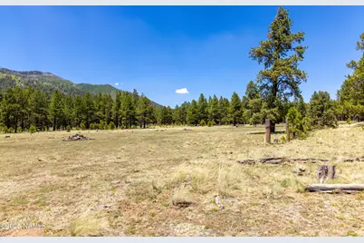 00 Crowley Trail, Flagstaff, AZ 86001 - Photo 43