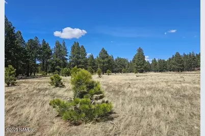 00 Crowley Trail, Flagstaff, AZ 86001 - Photo 15