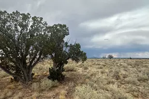 1224 E Valle Rd, Williams, AZ 86046 - Photo 1