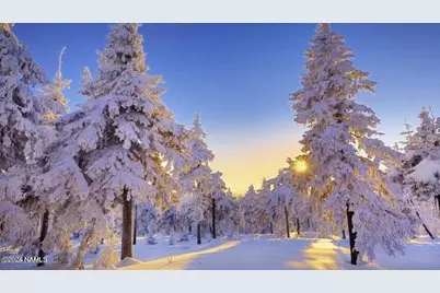 17550 S Munds Ranch Road #234, Munds Park, AZ 86017 - Photo 29