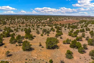 10529 W Red Bluff Road, Williams, AZ 86046 - Photo 15