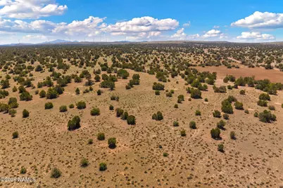 10529 W Red Bluff Road, Williams, AZ 86046 - Photo 7