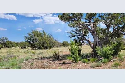 2152 S Hollyhock Lane, Williams, AZ 86046 - Photo 9