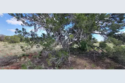 2152 S Hollyhock Lane, Williams, AZ 86046 - Photo 5