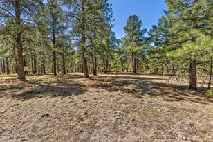 13270 Ghost Train Trl, Parks, AZ 86018 - Photo 15