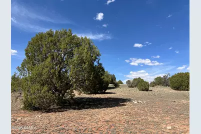 10747 Espee Road, Williams, AZ 86046 - Photo 13
