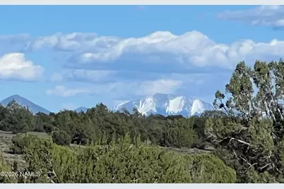 10747 Espee Road, Williams, AZ 86046 - Photo 5