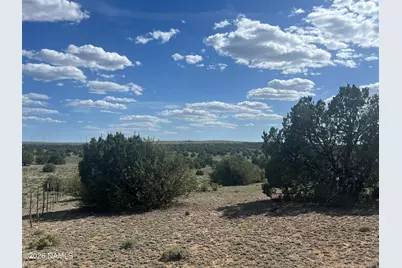 10747 Espee Road, Williams, AZ 86046 - Photo 17