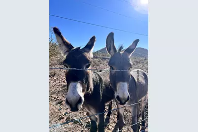 10747 Espee Road, Williams, AZ 86046 - Photo 11